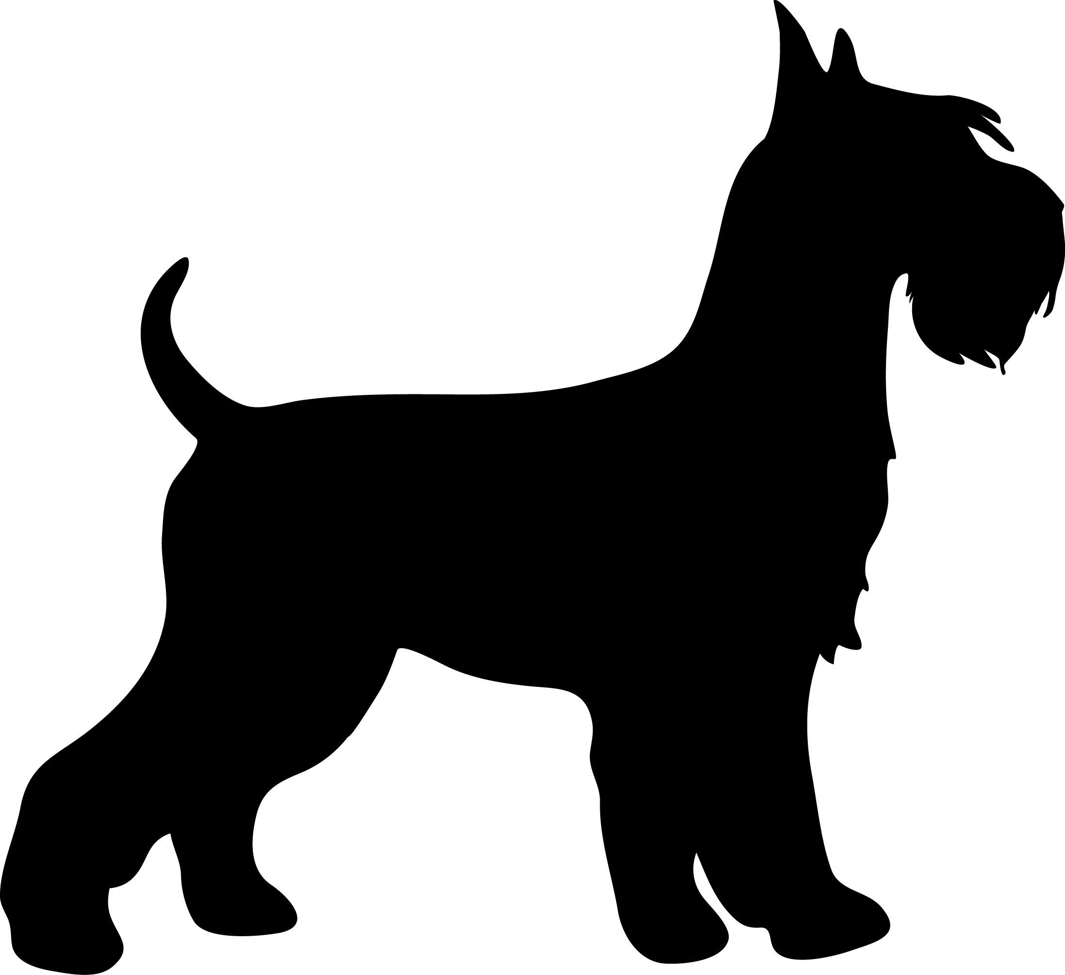 Σκύλος Schnauzer